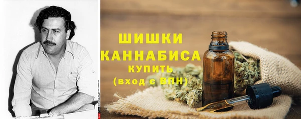 молекула духа Инсар