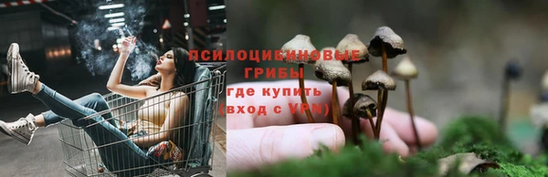 крисы Иннополис