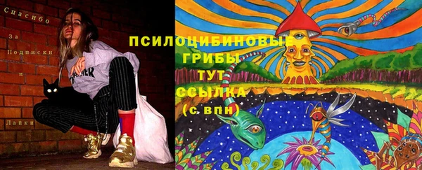 крисы Иннополис