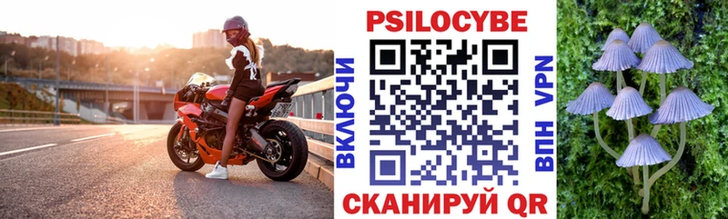 Псилоцибиновые грибы MAGIC MUSHROOMS  Купить где  Корсаков 